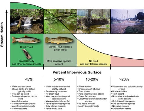 Stormwater & the Role of Local Governments